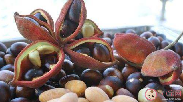 三生三世枕上书频婆果有什么用 白凤九为什么要偷频婆果 三生三世枕上书频婆果有什么用 白凤九为什么要偷频婆果