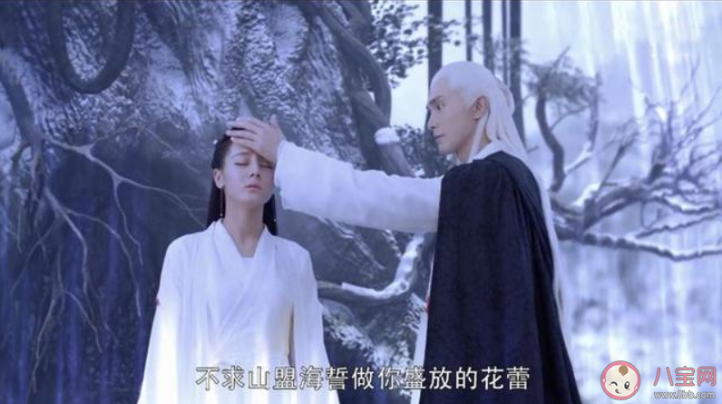 三生三世枕上书阿兰若之梦是第几集 阿兰若和凤九是什么关系