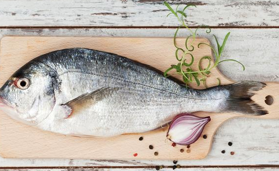 什么鱼汞含量高 哪些鱼高DHA又低汞