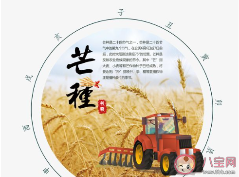 适合芒种发的朋友圈文案大全2020 芒种节气朋友圈个性文案句子