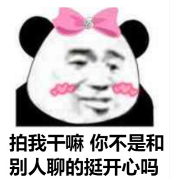 微信拍一拍表情包高清无水印图片大全 别拍了别拍了搞笑表情包合集