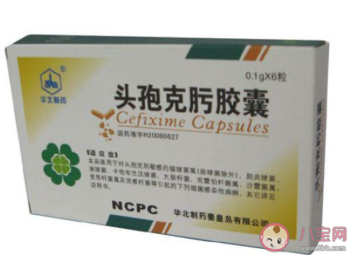 吃完头孢类药物后除了不能喝酒就不用忌口其他了吗 蚂蚁庄园小课堂4月23日答案