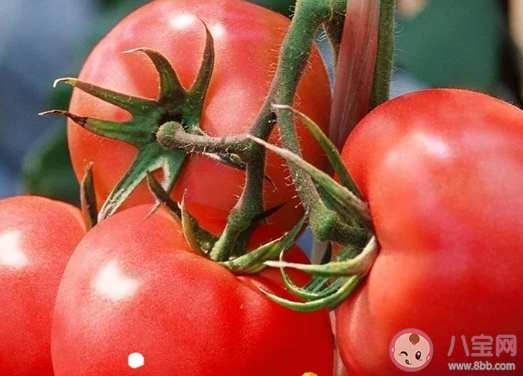 负卡路里食物可以提高新陈代谢吗?这样的食物存在吗