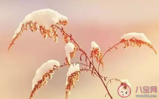 冬至快乐唯美图片带字大全2019 冬至快乐图片祝福语