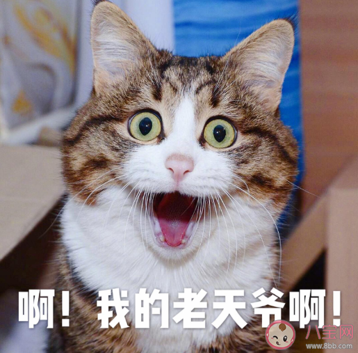 好怪哦再看一眼是什么意思 好怪哦再看一眼梗出处来源