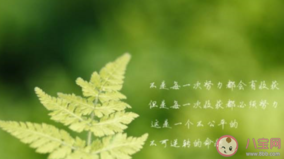 天气变暖和了的朋友圈说说 天气变暖了发朋友圈的句子