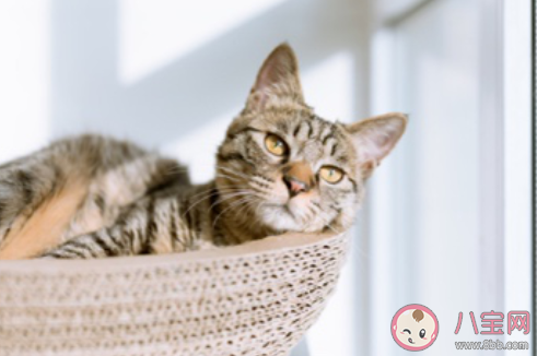 生活中增长睡觉时间的小技巧 怎么判断睡得好不好 生活中增长睡觉时间的小技巧 怎么判断睡得好不好