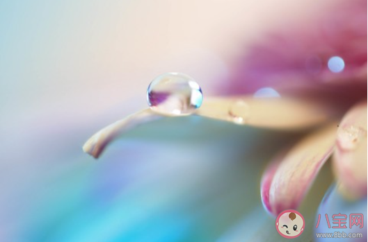 自卑的心情感受说说 觉得自卑的心情句子