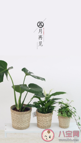 五月最后一天说说带图片大全 五月最后一天说说配图句子 五月最后一天说说带图片大全 五月最后一天说说配图句子