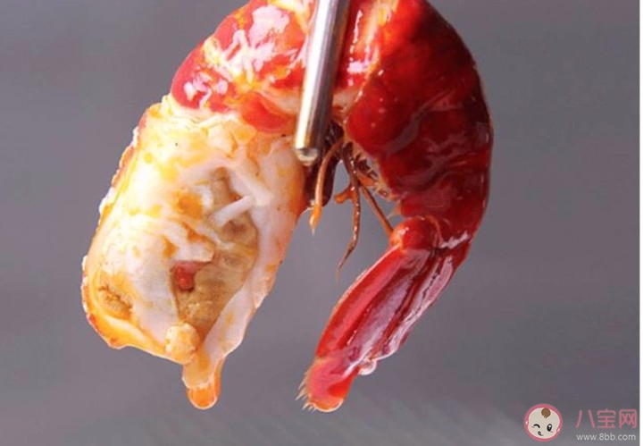 小龙虾壳是什么垃圾 小龙虾壳是软的是不是不新鲜