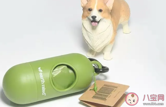 养狗和养猫哪个更花钱 养狗养猫哪个更好