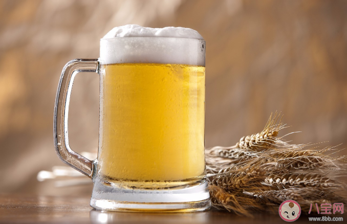 一杯啤酒总共能产生多少个气泡 啤酒倒入杯中后为什么有很多气泡上升 一杯啤酒总共能产生多少个气泡 啤酒倒入杯中后为什么有很多气泡上升