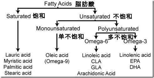 孩子吃什么成分的油最健康 孩子吃的油成分分析 孩子吃什么成分的油最健康 孩子吃的油成分分析