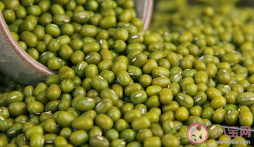 吃绿豆对尿酸偏高的人有影响吗 绿豆的嘌呤含量高不高 吃绿豆对尿酸偏高的人有影响吗 绿豆的嘌呤含量高不高