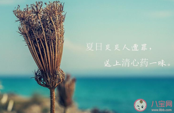 适合立夏节气发朋友圈的文案说说2020 立夏节气朋友圈个性文案合集2020