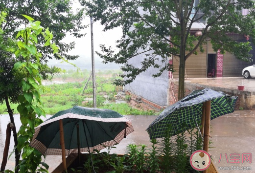 2020下暴雨微信朋友圈说说 下暴雨心情感言句子