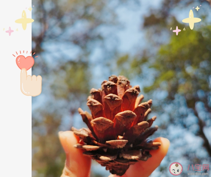 群聊到底有什么用 群聊是用来干嘛的