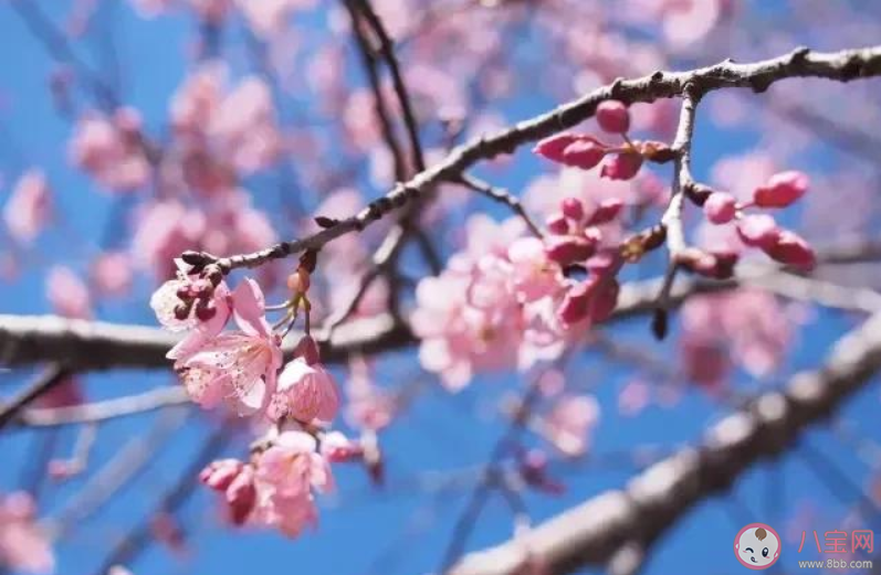 适合疫情结束发的朋友圈文案句子2020 疫情结束发朋友圈的文案大全