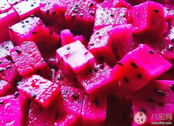 为何红心火龙果比白心火龙果甜 蚂蚁庄园4月10日答案