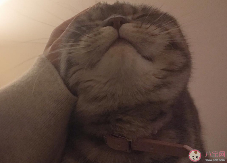 想出去玩的说说短句搞笑 想出去玩的说说心情 