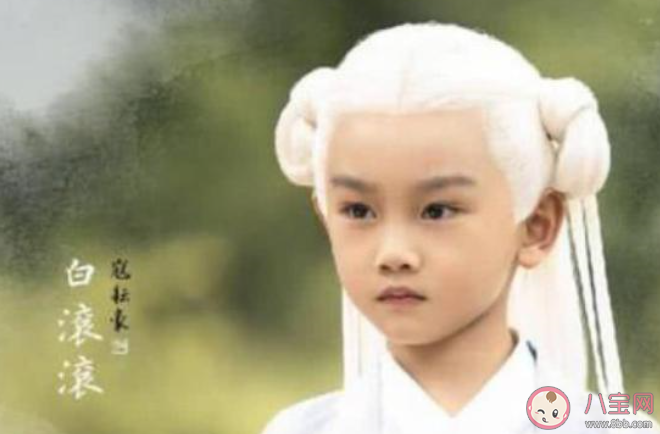 三生三世枕上书白滚滚的真身是什么 白滚滚是狐狸还是石头