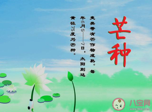 适合芒种发的朋友圈文案大全2020 芒种节气朋友圈个性文案句子