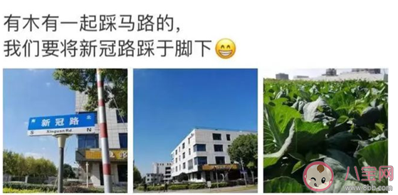 上海新冠路为什么火了 上海新冠路在哪里