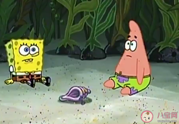 你为什么不问问神奇海螺呢是什么意思什么梗 你为什么不问问神奇海螺呢出处来源是什么 你为什么不问问神奇海螺呢是什么意思什么梗 你为什么不问问神奇海螺呢出处来源是什么