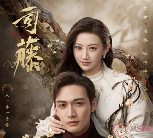 《司藤》小说各人物大结局是什么 秦放司藤最后在一起了吗