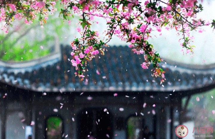 2020今日春分唯美图片大全 春分朋友圈文案句子