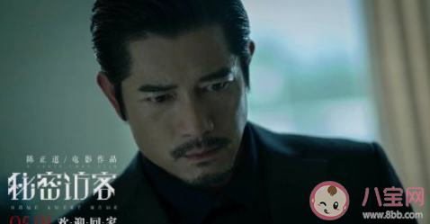 电影《秘密访客》好不好看 《秘密访客》影评怎样