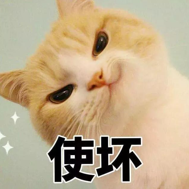 猫为什么会埋大便 猫埋大便的原因