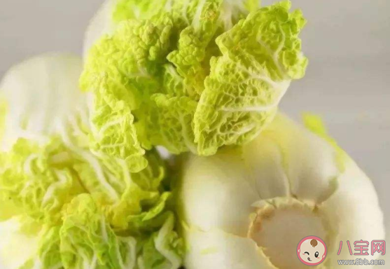 白菜带黑点是怎么回事 白菜上的黑点有毒吗 白菜带黑点是怎么回事 白菜上的黑点有毒吗