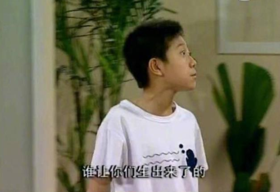 怎么用一句话证明看过家有儿女 家有儿女经典台词对话大全 怎么用一句话证明看过家有儿女 家有儿女经典台词对话大全