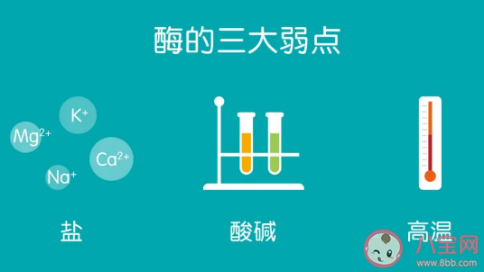 吃菠萝怎么能不扎嘴  吃菠萝舌头疼怎么缓解