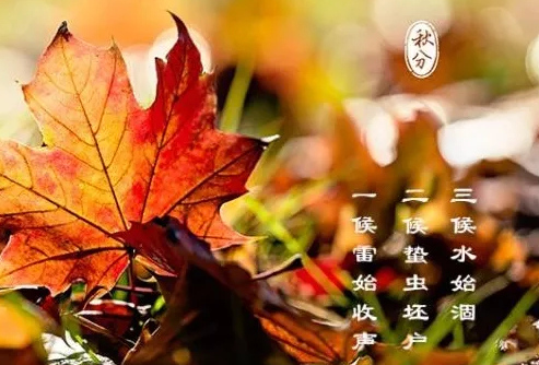 秋分养生吃什么 秋分过后的养生窍门