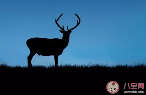 2020五月最后一天怎么发朋友圈 5月最后一天说说文案