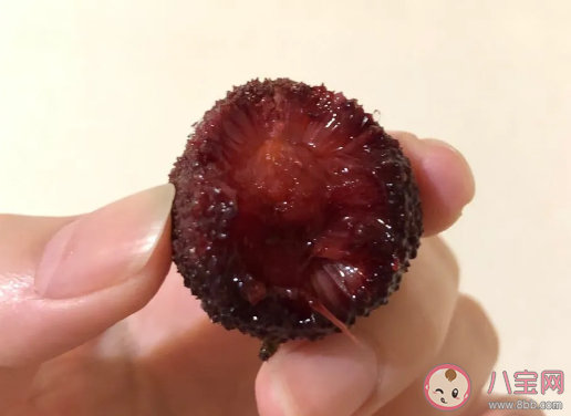 冰冻杨梅简单快速的做法有哪些 冰冻杨梅可以放多久