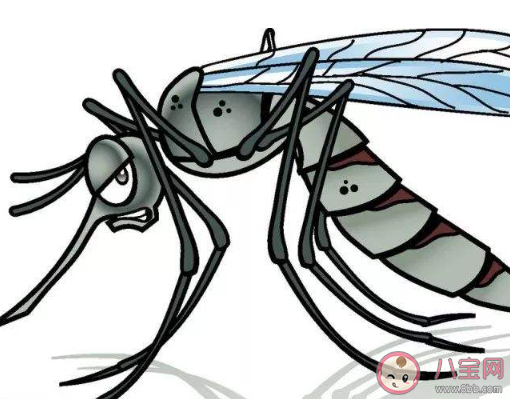 蚊子咬我的幽默说说 半夜和蚊子大战的搞笑说说