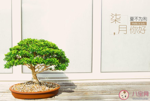 2020适合七月第一天发的朋友圈说说 2020七月第一天暖心文案说说朋友圈