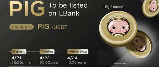 pig币在哪里买  pig币在什么平台上有