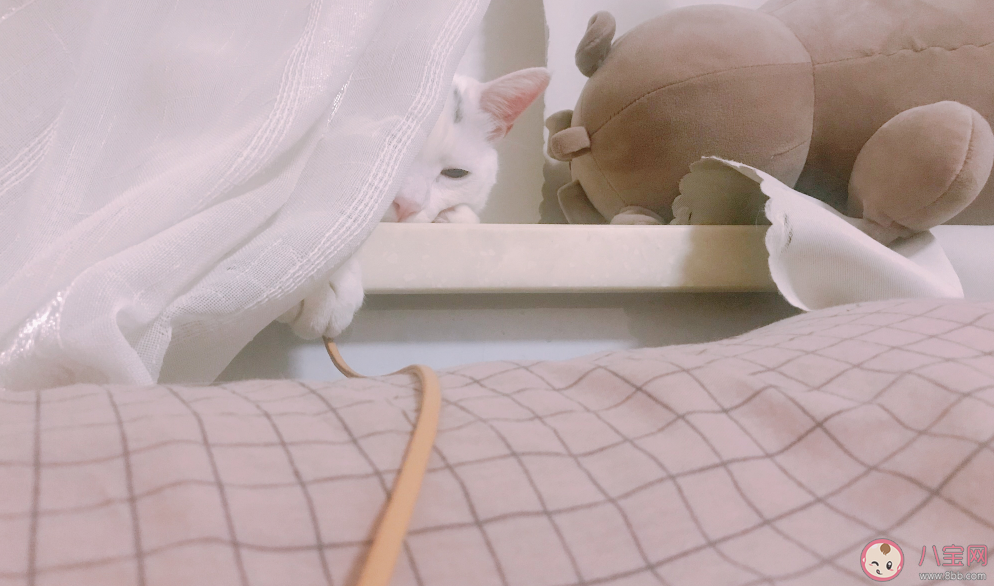 最近睡觉老做梦的说说感慨 最近睡觉老做梦句子