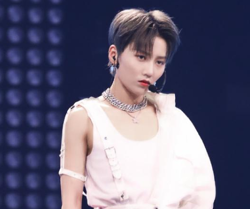 T头T尾是什么意思 T头T尾梗的出处是什么 T头T尾是什么意思 T头T尾梗的出处是什么