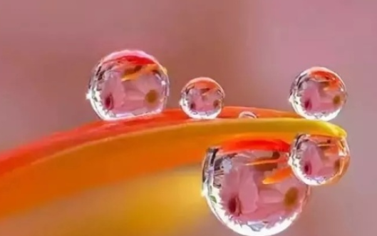 白露后吃什么养生窍门 白露后的养生方法