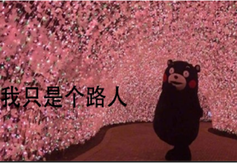 追星女孩最反感的路人语录有哪些 饭圈女孩最反感别人说什么