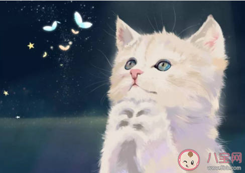 我与狸奴不出门中狸奴指什么 蚂蚁庄园今日4月22日答案