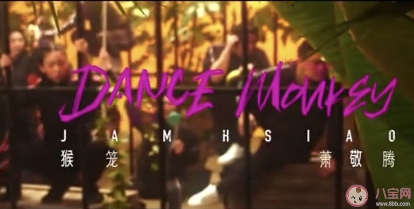 萧敬腾猴笼抖肩神曲改编自什么歌曲 猴笼完整版歌词分享