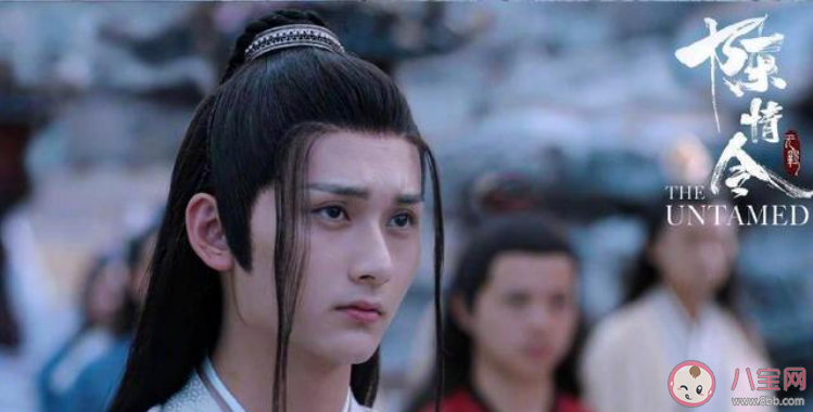 陈情令之乱魄讲的是谁的故事 陈情令之乱魄还有肖战王一博吗