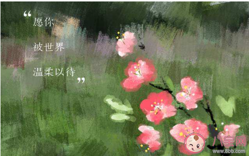 温柔干净且无关爱情的句子大全 温柔干净的朋友圈唯美文案说说