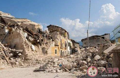 在避震自救瞬间人们的首先选择是 蚂蚁庄园5月12日答案